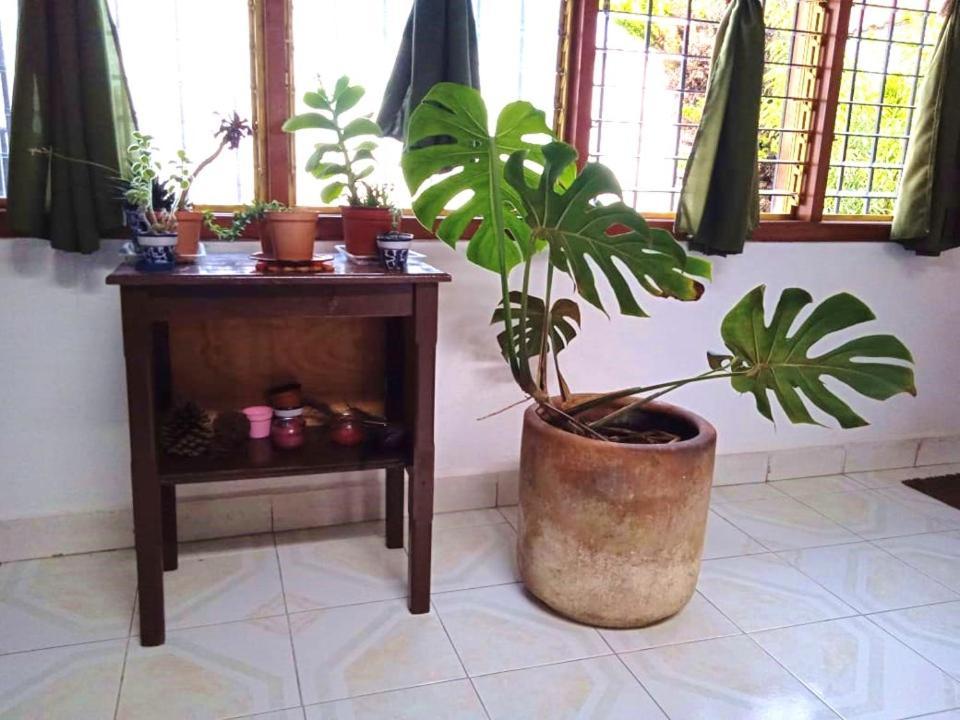 Casa Natura San Cristóbal de Las Casas Buitenkant foto